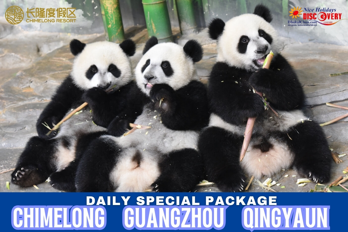 Chimelong Package แพคเกจสวนสนุกฉางหลง กวางเจา ชิงหยวน